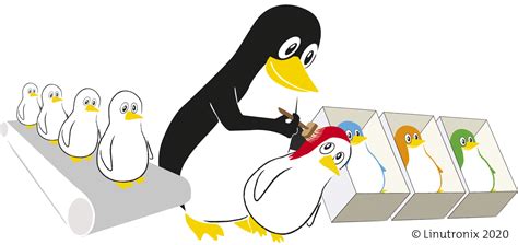 Image result for Linux Variants