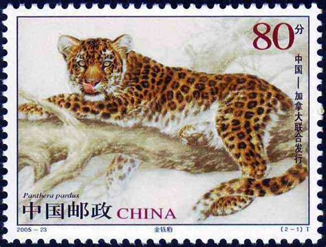 2005年特种邮票《金钱豹与美洲狮》 - 邮票印制局