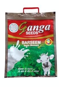 Grass Ganga Berseem Seeds - 1KG - Barseem Seed for Fodder of Cows and ...