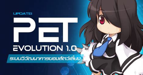 Image result for PSO2 How to Evolve Pet