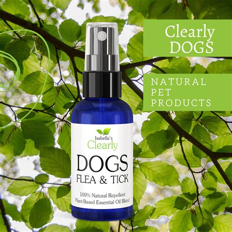 Natural Deterrent For Ticks On Dogs at Sandra Rosson blog