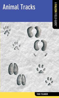 Animal Tracks eBook by Todd Telander | Official Publisher Page | Simon ...