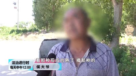 快递员组团深夜偷西瓜被北京警方抓获，曾偷走四千斤瓜_京报网