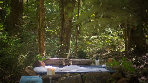 Canopy Camping Escapes | Highfield Forest Retreat | Accommodation in ...