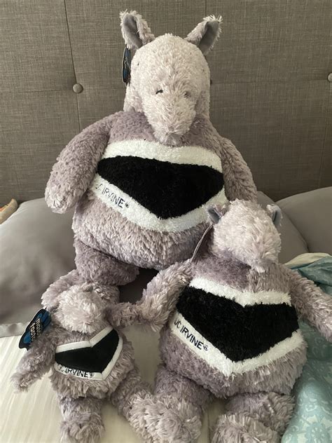 WebReg at 7 pm be like.. : UCI