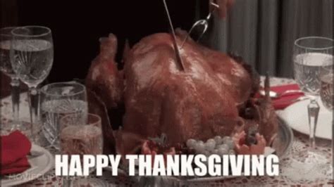Funny Happy Thanksgiving GIFs | GIFDB.com