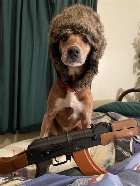 smol kitler : r/ww2memes