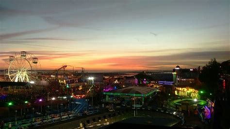 Adventure Island Amusement Park 的图像结果