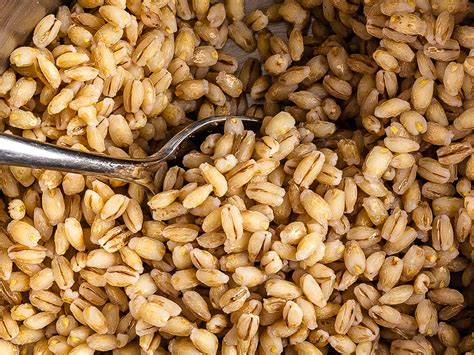 Health Benefits of Barley - Karinokada