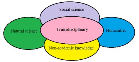 Image result for Explain Transdisciplinary