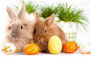 Image result for Easter Day Bunny