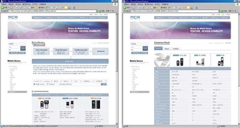 Web in Computer Example 的图像结果