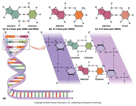 Image result for DNA Microarray Kit