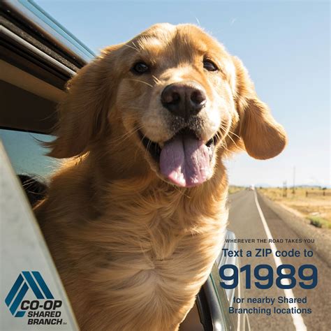 Kevin Mulder on LinkedIn: #sbawarenessweek #ohwvsharedbranching # ...