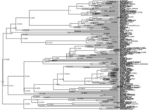 Image result for Language Tree