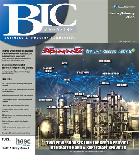 The Brock Group: Offering the advantage of a two-expert model for ...