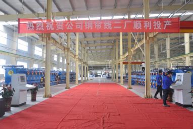 10万吨钢帘线项目正式投产 - 市场渠道 - 轮胎商业网