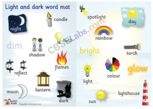 Class 6 Science Light Shadow and Reflection Free Tutorial 的图像结果