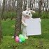 Image result for Personalized Easter Bunny Ears