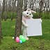 Image result for Personalized Easter Bunny