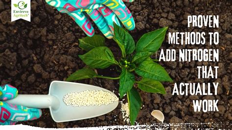 10 Easy Ways to Boost Soil Nitrogen (Without Chemicals!)