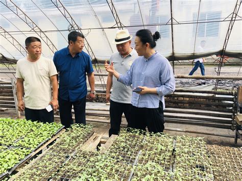 中国农业大学农学院 新闻动态 生物质工程研究中心师生前往山西沁源开展调研