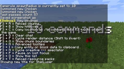 Image result for Admin Key Minecraft