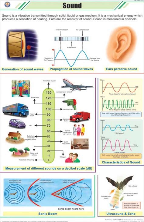 Buy STP05 | TeachingNest | Sound Chart (58x90 cm) | English | Physics ...