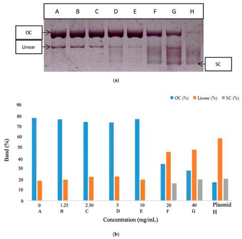 Phytochemical Analysis, Antimutagenic and Antiviral Activity of Moringa ...