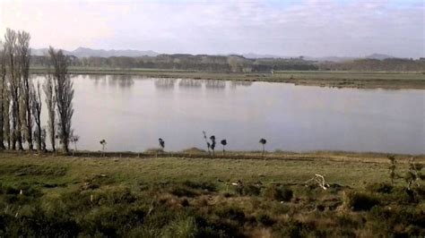 Lake Whangape in waikato New Zealand - reviews, best time to visit ...