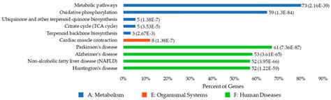 Computational Identification and Analysis of Ubiquinone-Binding Proteins