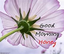 Image result for Good Morning Honey Bunny