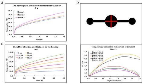 Simulation of Rapid Thermal Cycle for Ultra-Fast PCR