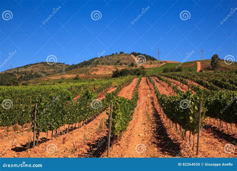 View of Vineyards in the Spanish Countryside Stock Photo - Image of ...