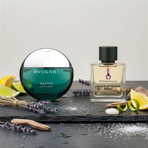 Aqva Pour Homme Bvlgari Inspired Perfume Spray – PerfumeSteal.in