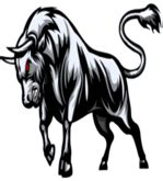 Share Bull - Best Share Market Investment for High Returns