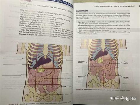 医学 的图像结果