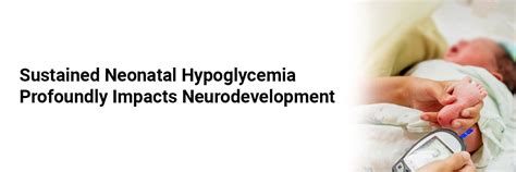 Sustained Neonatal Hypoglycemia Profoundly Impacts Neurodevelopment