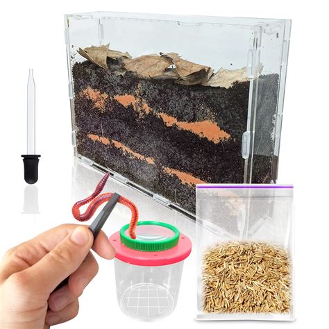 How To Grow A Worm Farm For Fishing at Krista Guerrero blog