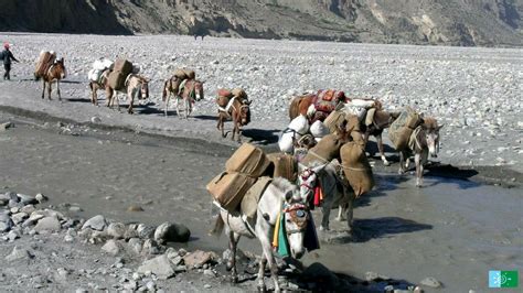 Things to do in Mustang Nepal - Forbidden Kingdom of Nepal - Nepal Sanctuary Treks