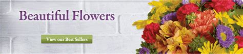 Flower Shop Network 的图像结果
