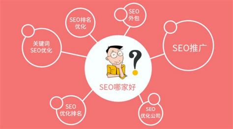 seo的定义、分类与优化（揭秘网站优化的秘密）-8848SEO