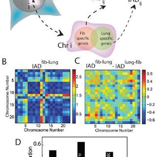 Image result for Cell Type Gene Expression