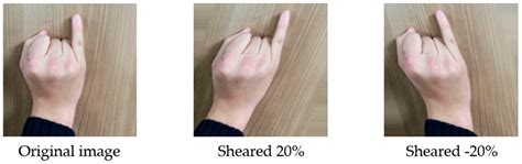 Investigating Effective Geometric Transformation for Image Augmentation ...