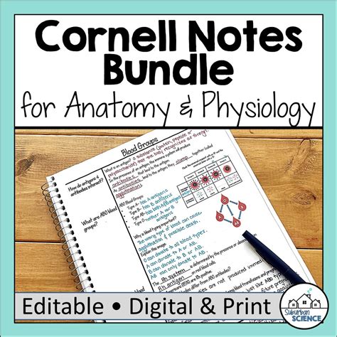 Image result for Cornell Notes Structure