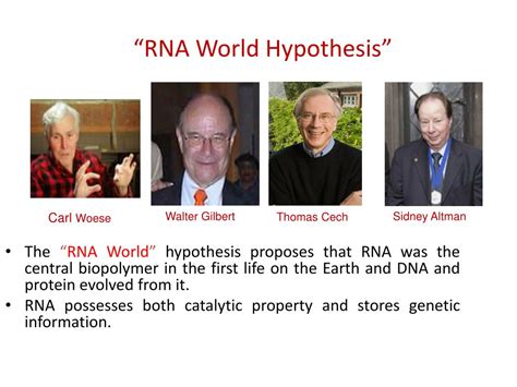 RNA World Explained 的图像结果