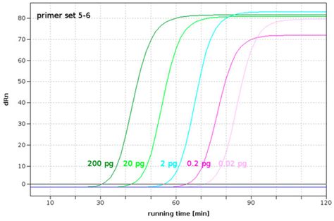 Role of Phytopathogenic Fungi in Forest Plant Breeding–Development of ...