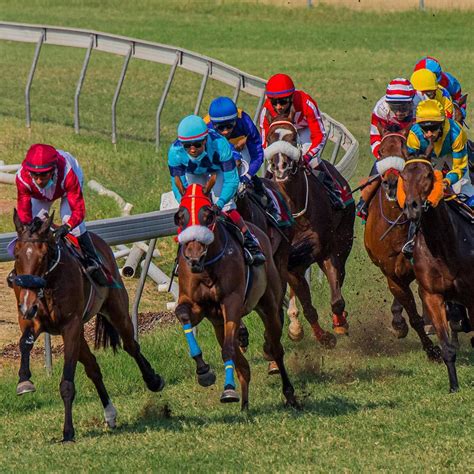 Turf Racing At Hyderabad Race Club l LBB