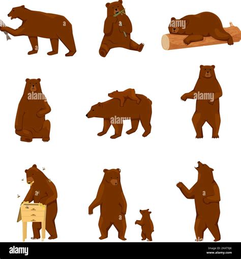 Grizzly bears flat icon set with isolated views of walking bears with ...